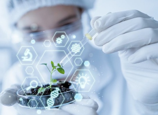 Результаты проведенных исследований материалов уголовных дел о преступлениях, совершенных организованной группой или преступным сообществом ( преступной организацией)