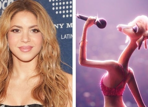 Изменение роли закона в обновленной правовой системе России создает необходимость теоретического изучения закона и его видов, определения их значения в условиях формирования правового государства