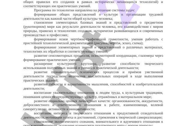 Программа воспитания и социализации обучающихся на ступени основного общего образования (8-9 классах) Программа воспитания и социализации обучающихся на ступени основного общего образования (8-9 классах)